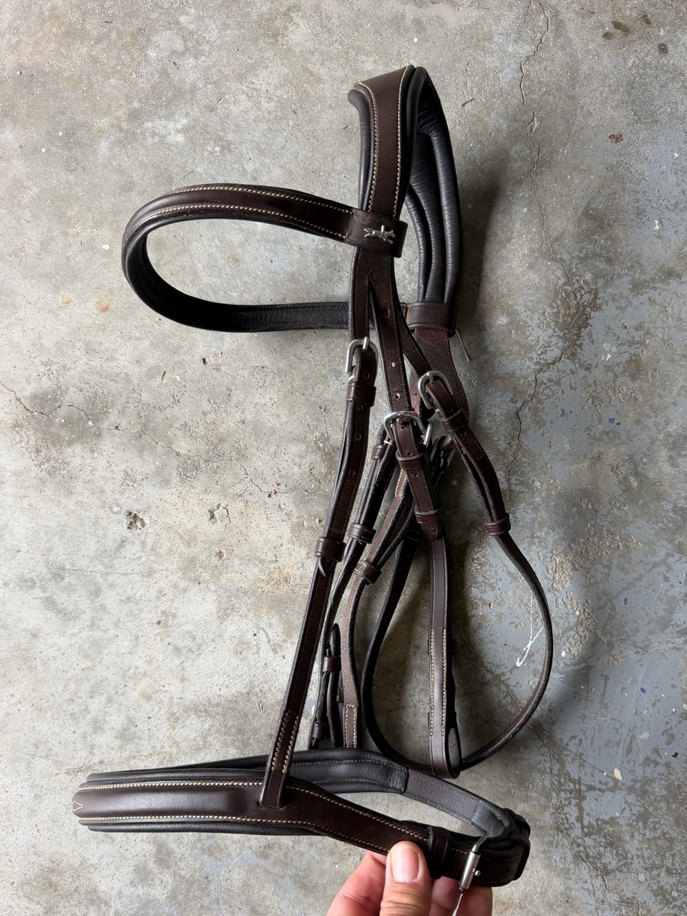 Schockemohle anatomical hunter bridle COB